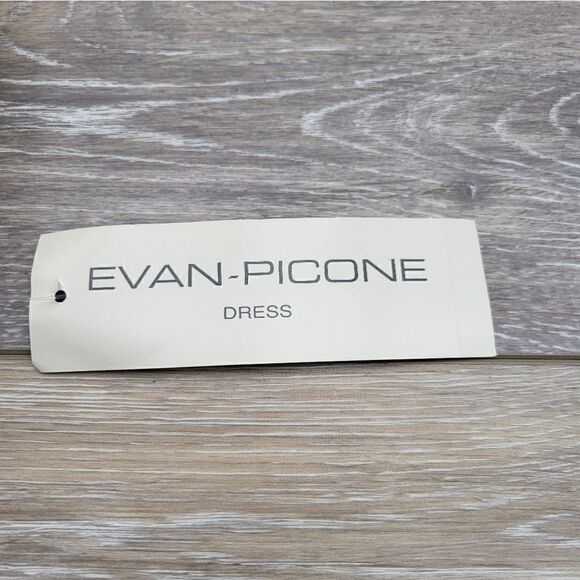NWT Evan Picone Paris Chic Ivory dress size 4 - Picture 13 of 14